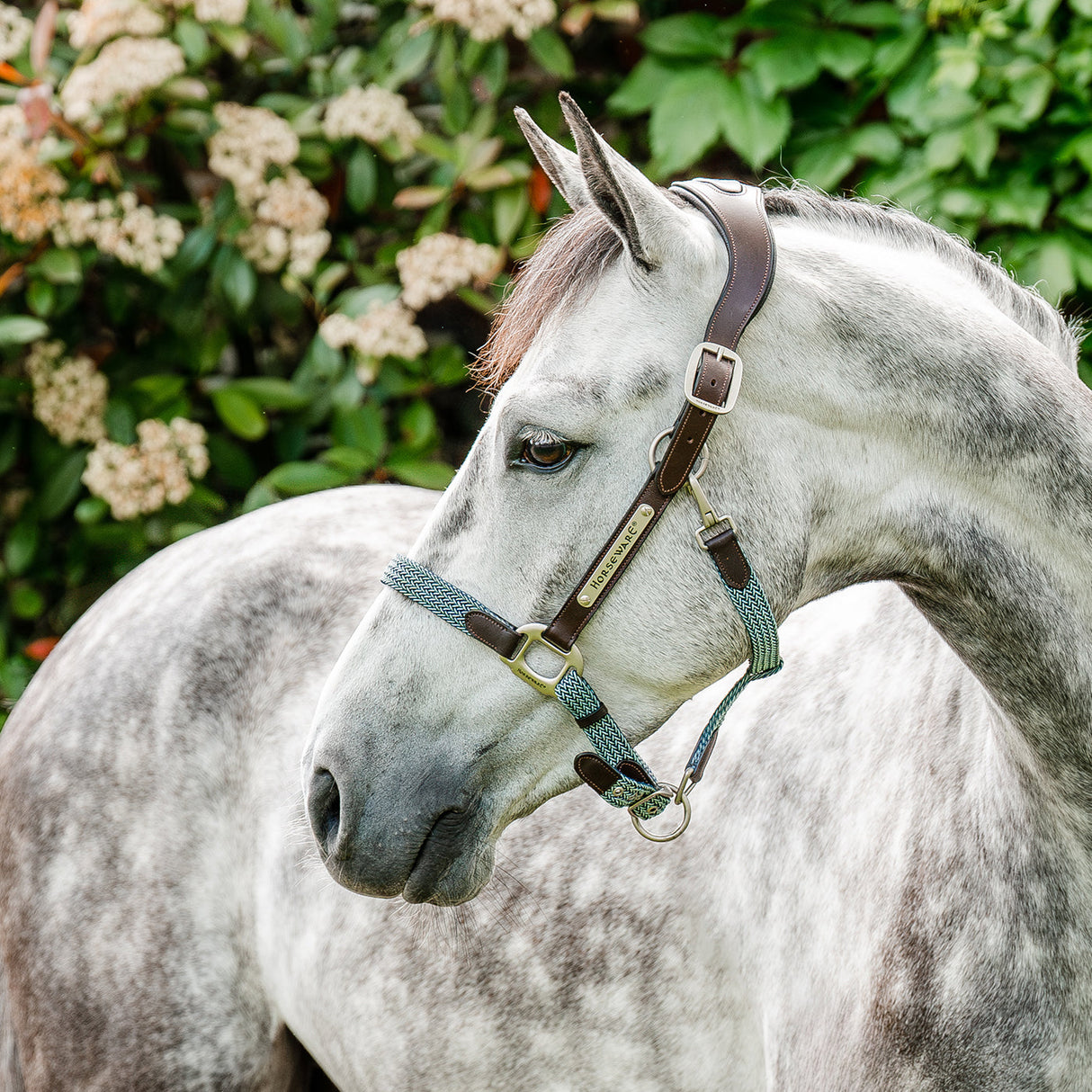 Horseware Signature Braided Halter