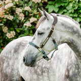Horseware Signature Braided Halter