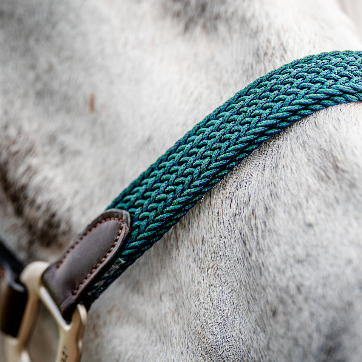 Horseware Signature Braided Halter