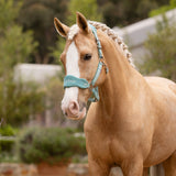 LeMieux Vogue Halter & Lead Rope