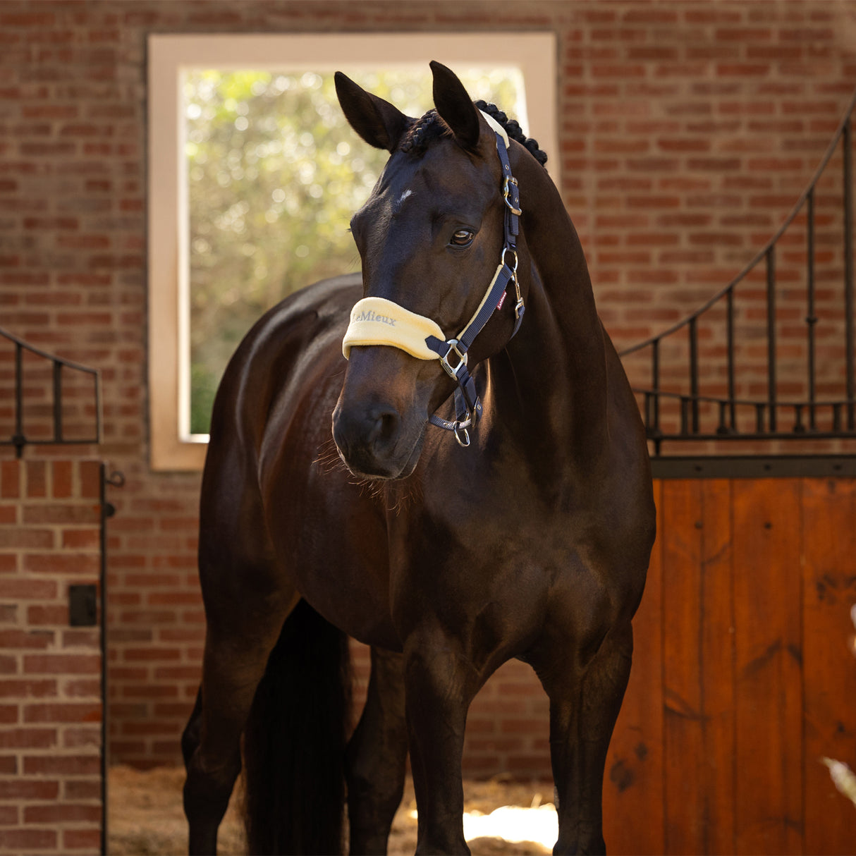 LeMieux Vogue Halter & Lead Rope