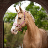 LeMieux Vogue Halter & Lead Rope