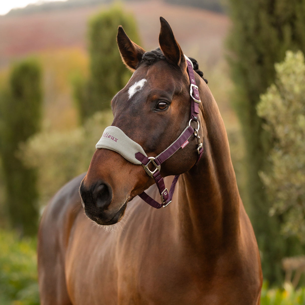 LeMieux Vogue Halter & Lead Rope
