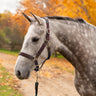 Shedrow Sedgwick Halter