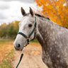 Shedrow Sedgwick Halter