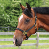 Supra Stable Halter