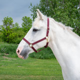 Supra Stable Halter