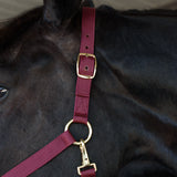 Supra Stable Halter