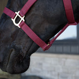 Supra Stable Halter