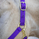 Supra Stable Halter