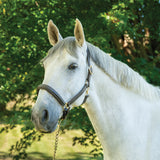 Val du Bois Padded Fancy Stitched Halter