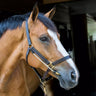 ThinLine Halter Busy Buddy