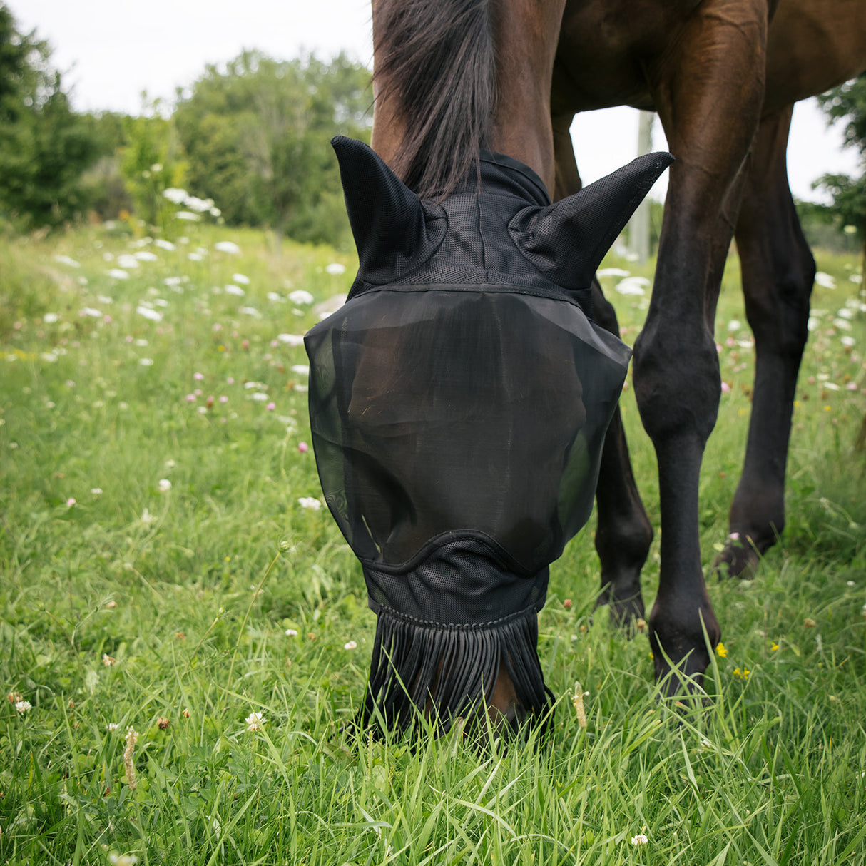 Summit Deluxe Fly Mask