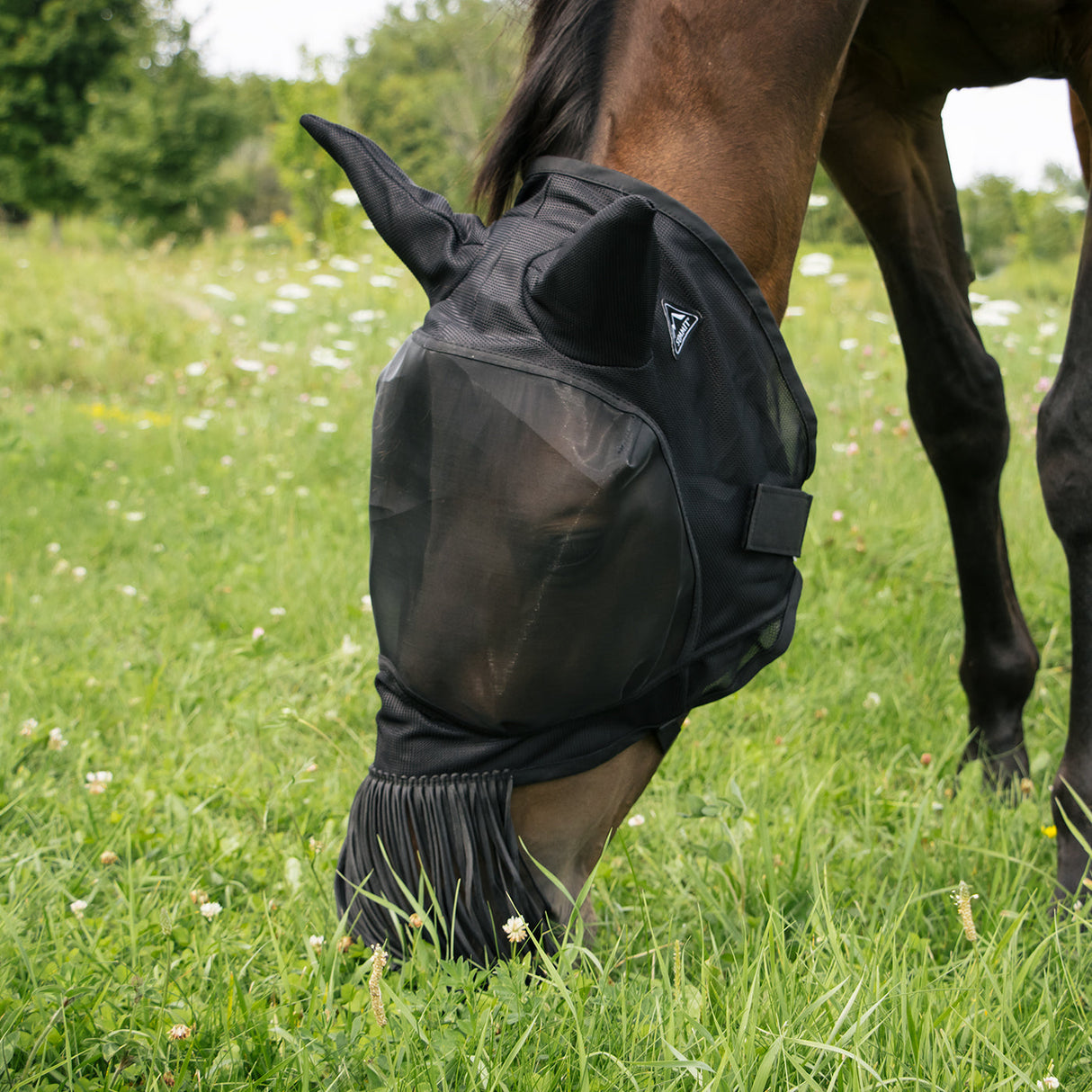 Summit Deluxe Fly Mask