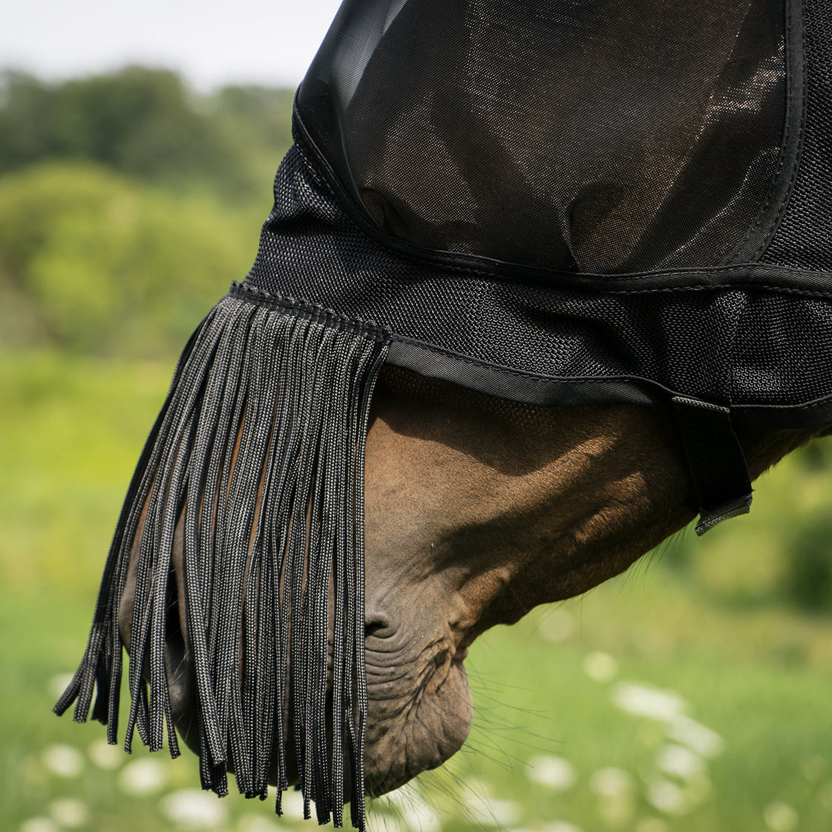 Summit Deluxe Fly Mask