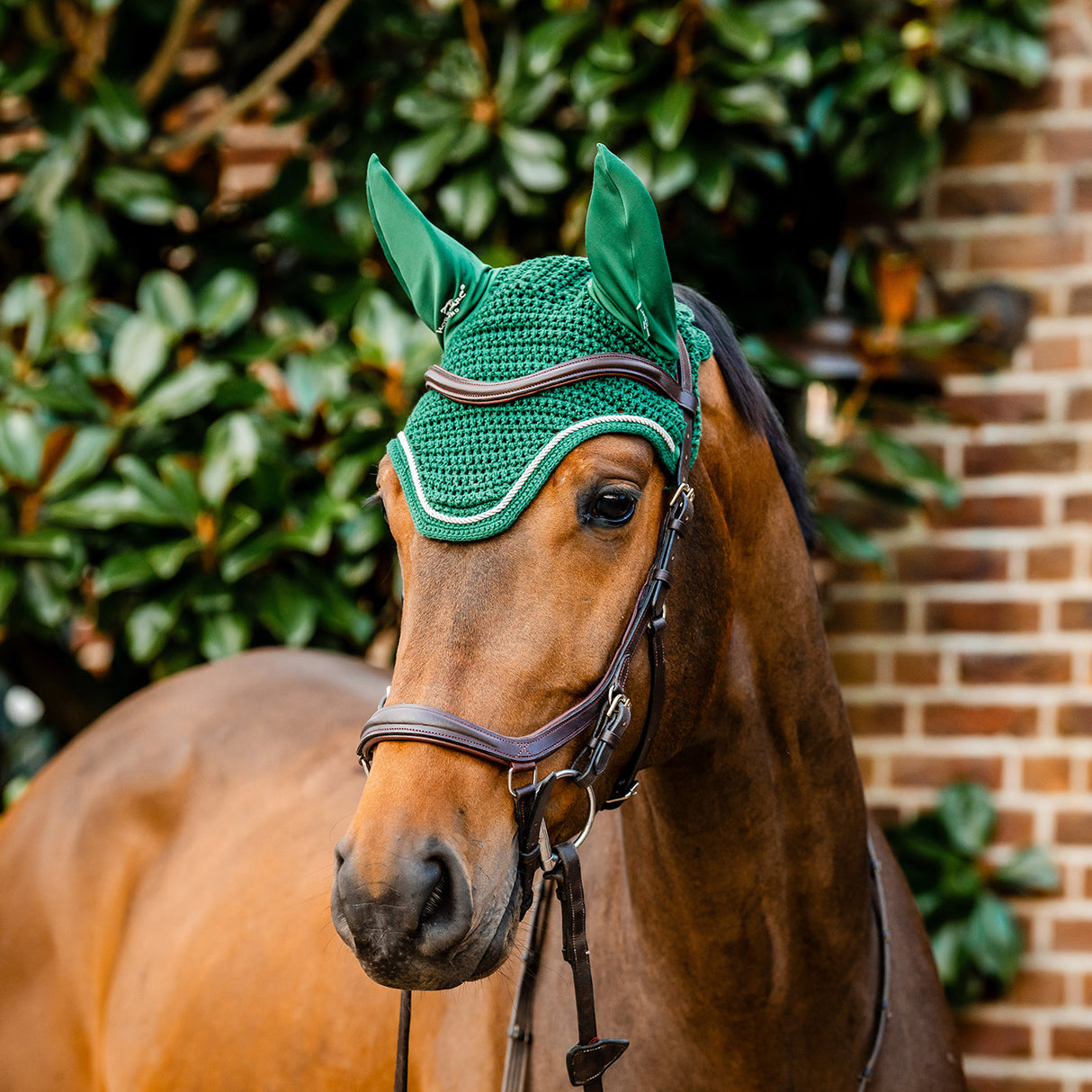 Horseware Signature Fly Veil