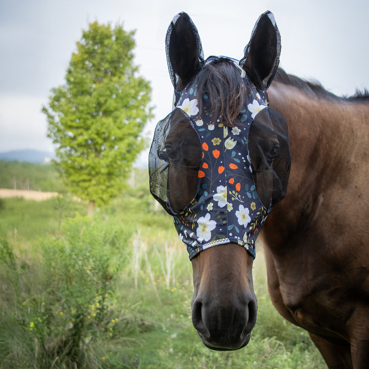 Supra Lycra Fly Mask W/ Forelock Hole