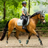 BR Eevolv Inez Fly Veil