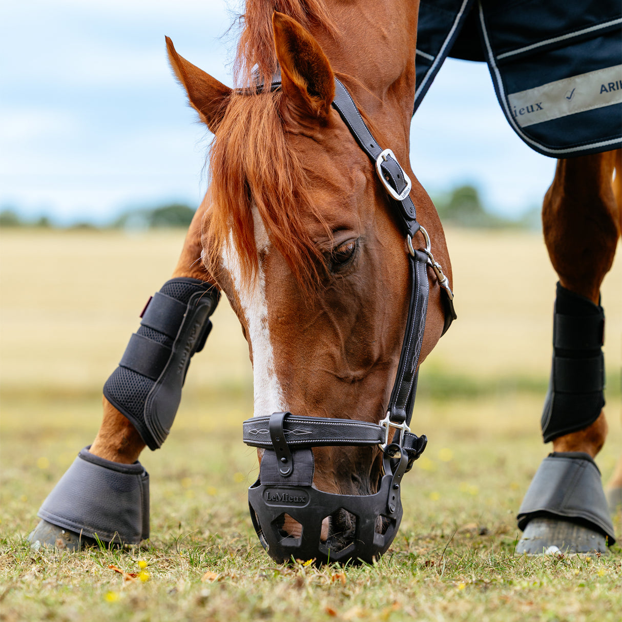 LeMieux Noma Grazing Muzzle