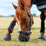 LeMieux Noma Grazing Muzzle