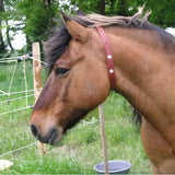Alzoo Herbal Horse Collar