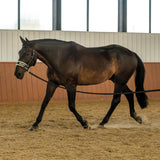 Supra Lunge Cavesson