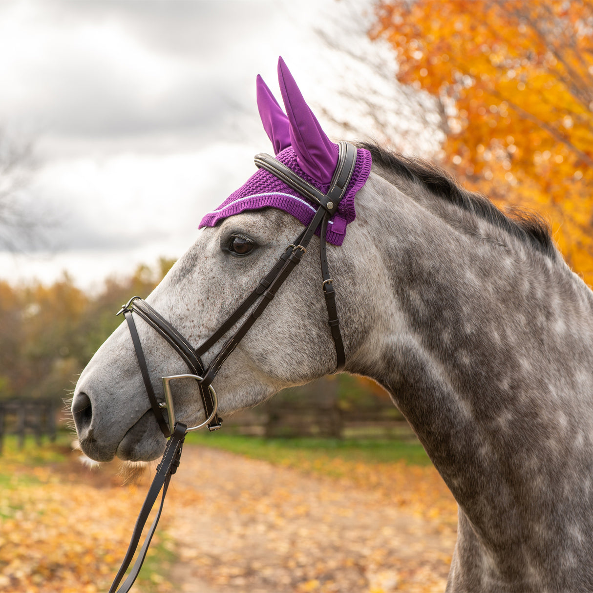 Shedrow Fly Veil