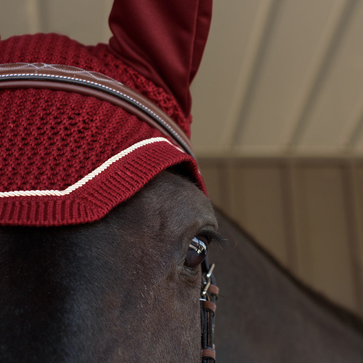 Shedrow Fly Veil
