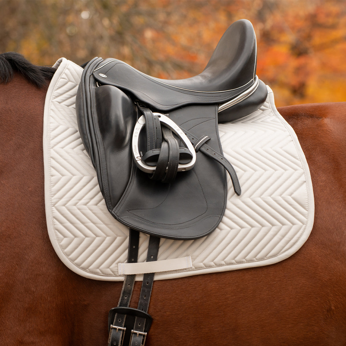 Everyday Essential Dressage Saddle Pad