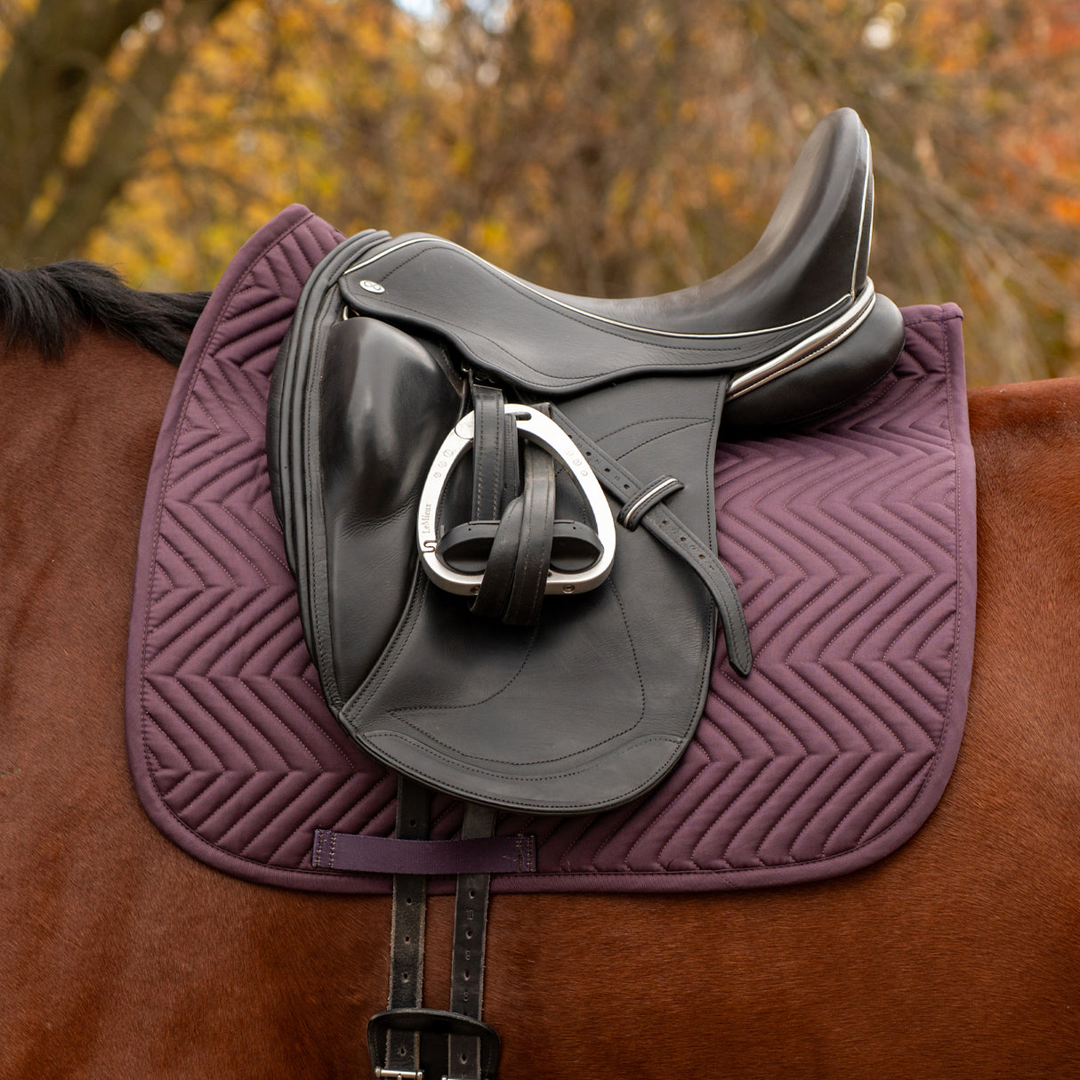Everyday Essential Dressage Saddle Pad