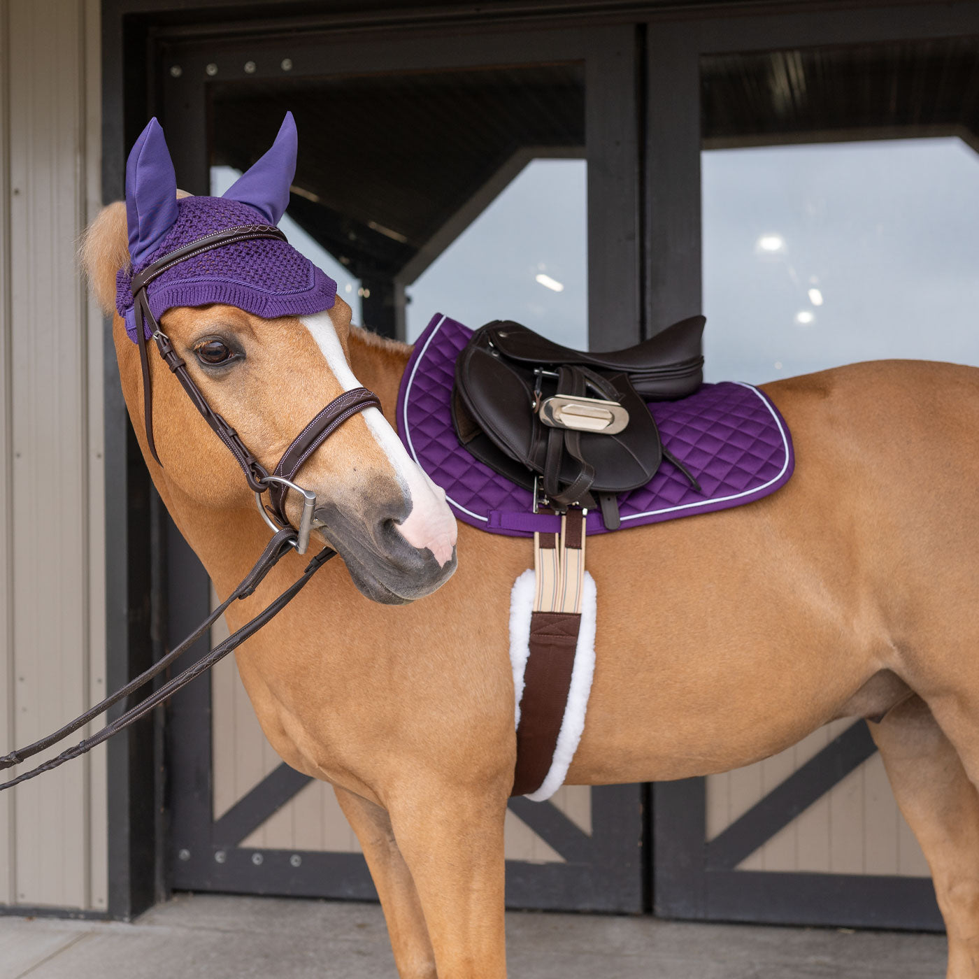 Shedrow Original Pony Saddle Pad