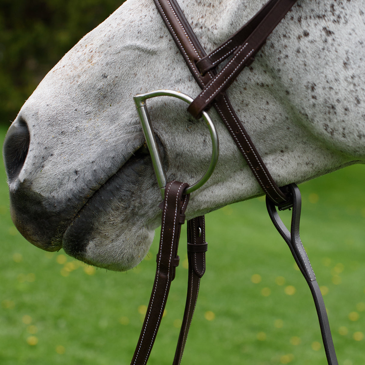Connemara Standing Martingale