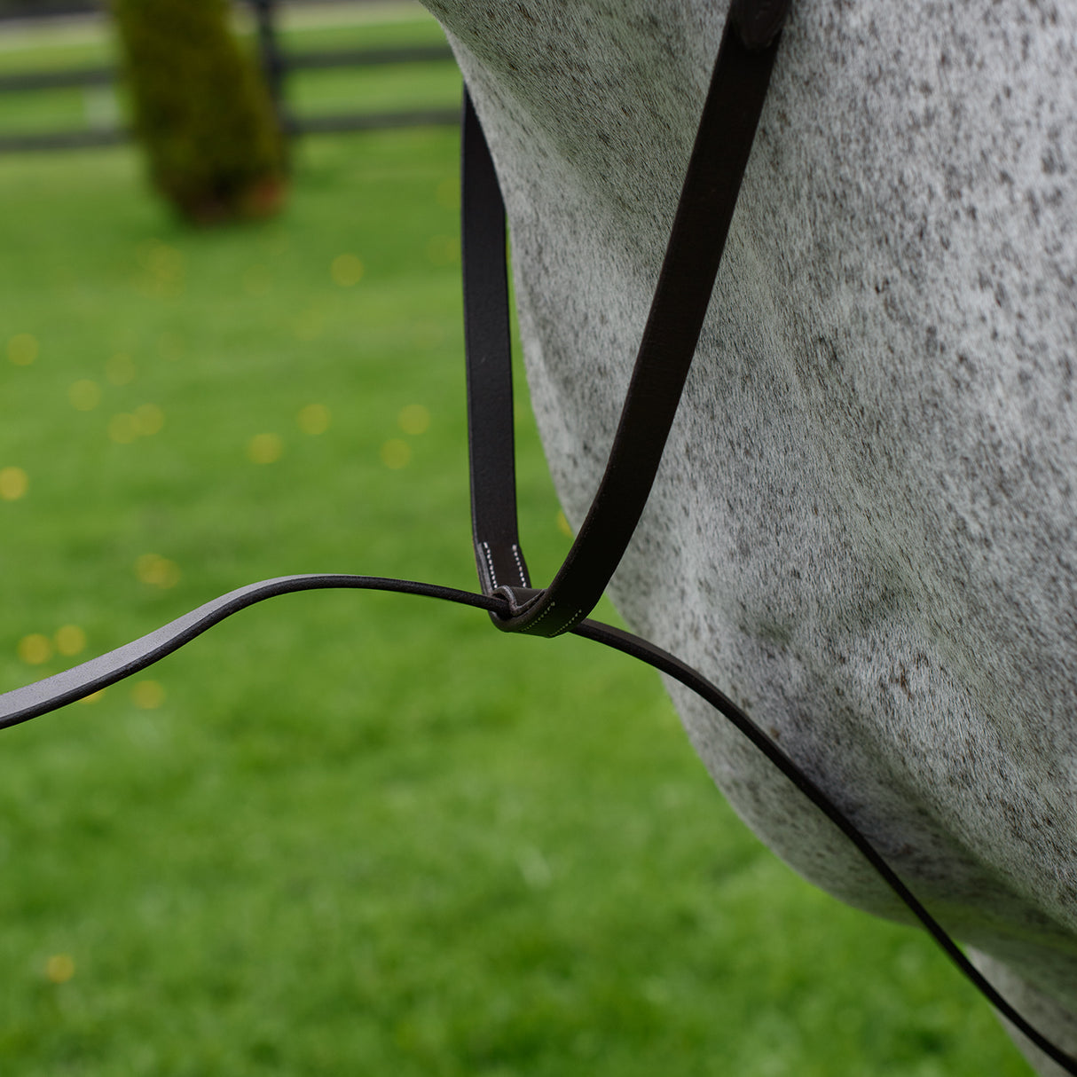 Connemara Standing Martingale