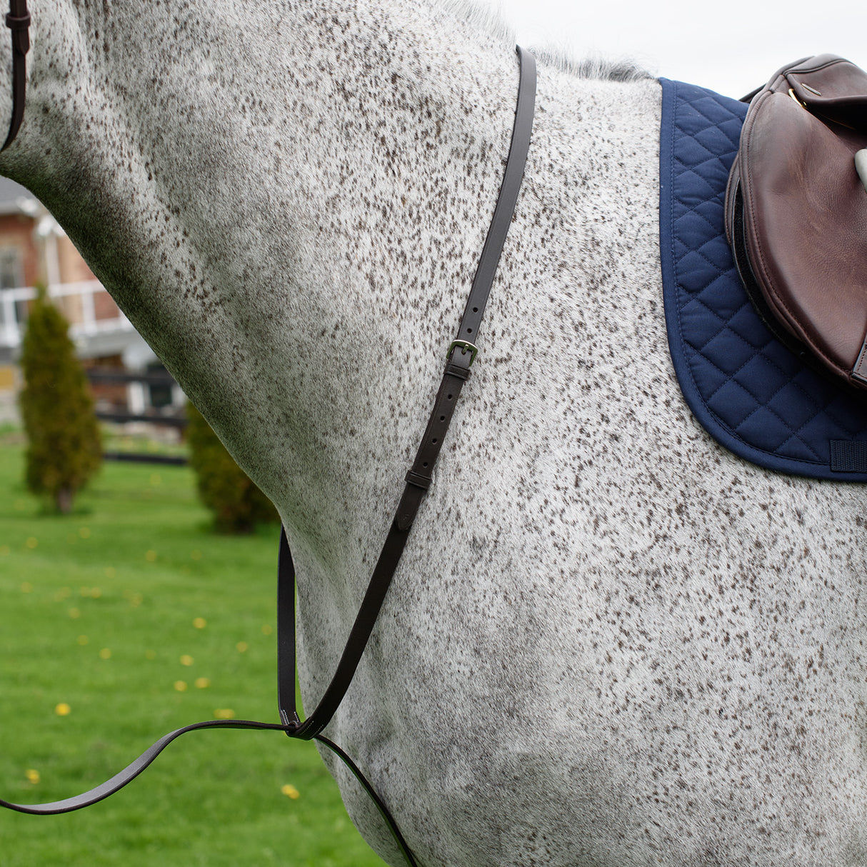 Connemara Standing Martingale