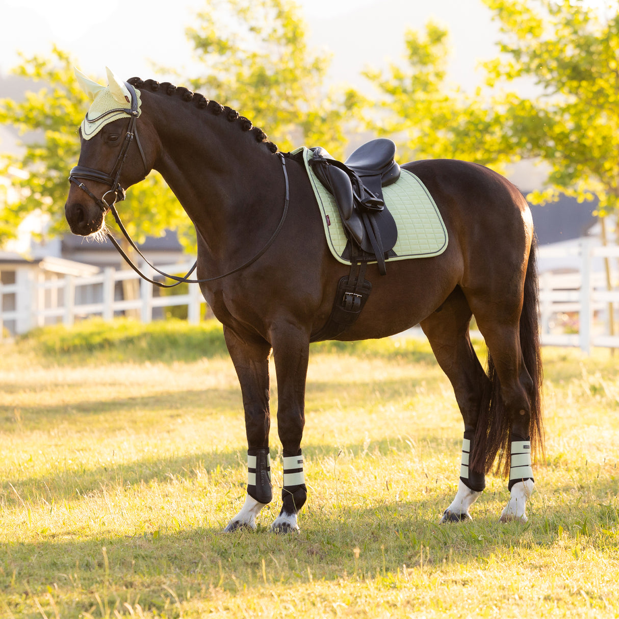 LeMieux Suede Dressage Square Saddle Pad