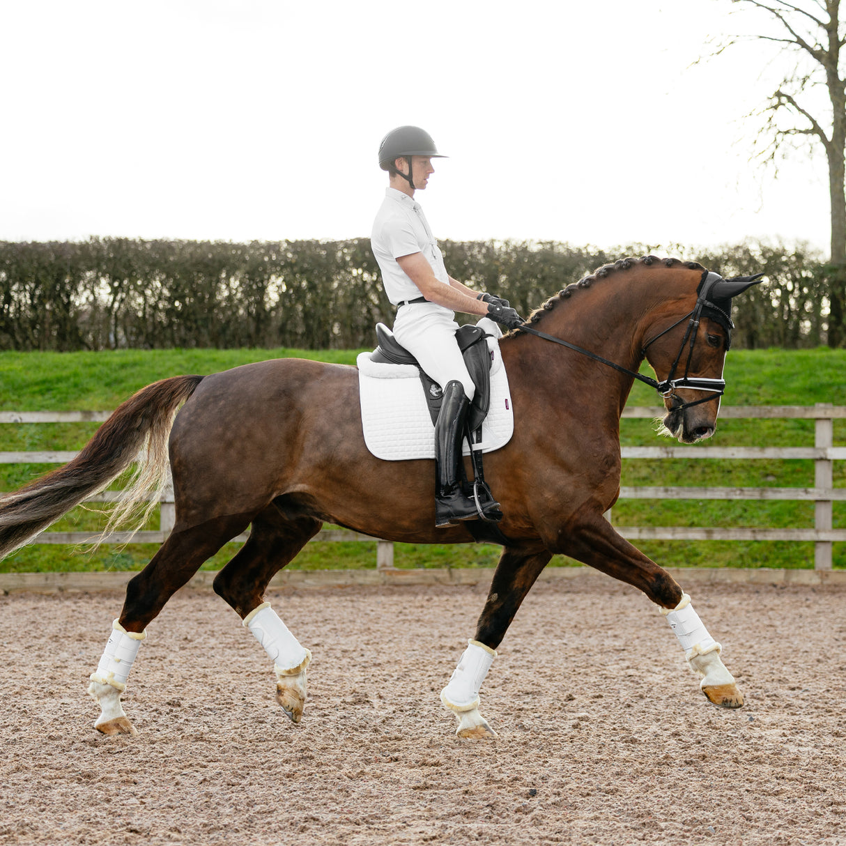 LeMieux Suede Dressage Square Saddle Pad