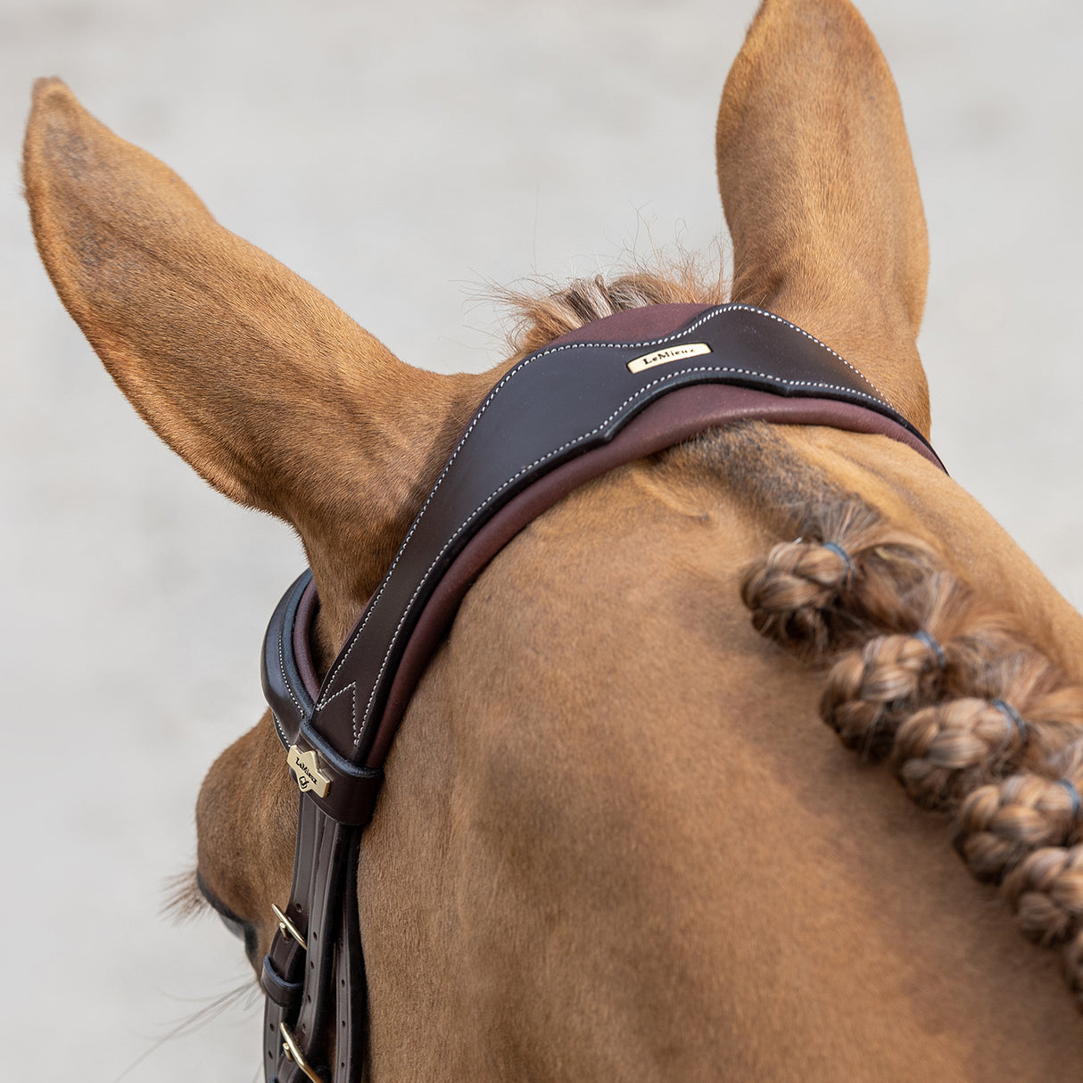 LeMieux Kudos Competition Flash Bridle
