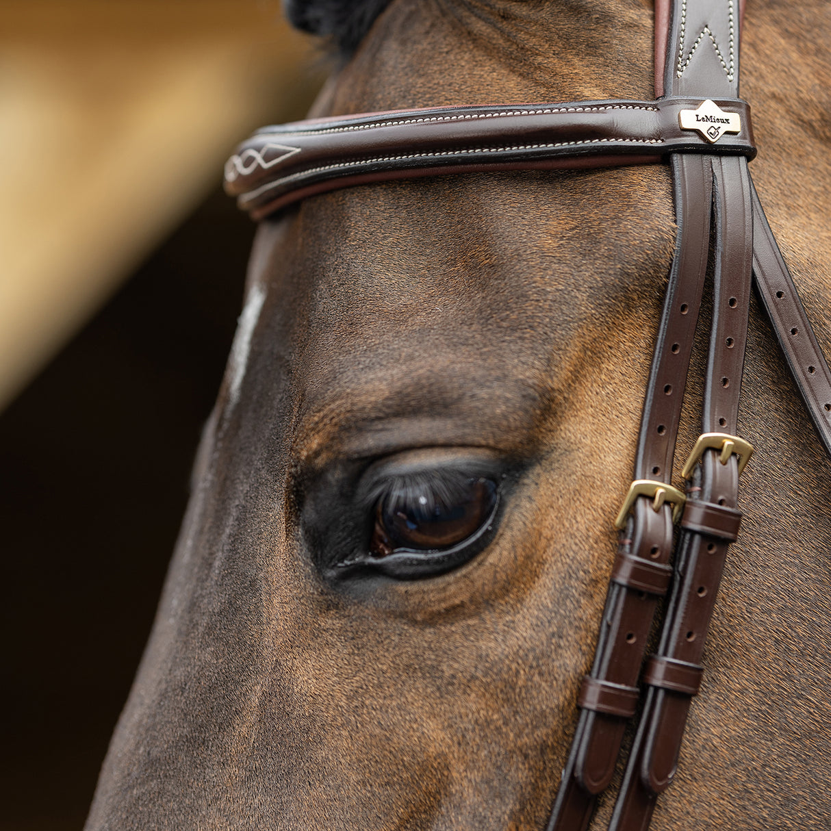 LeMieux Kudos Competition Flash Bridle