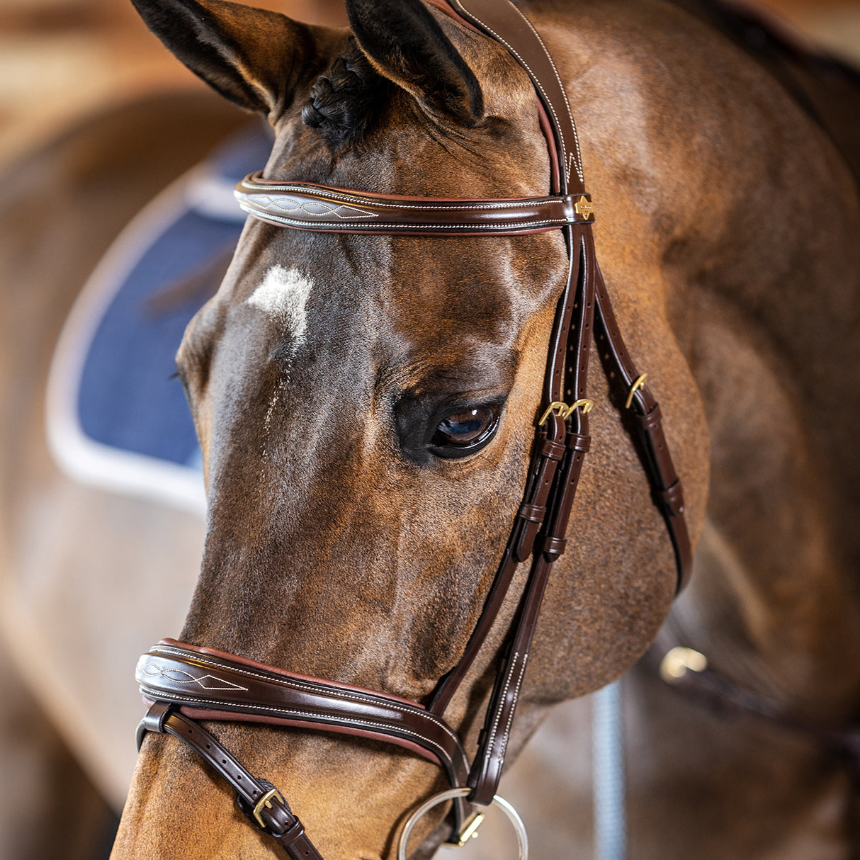 LeMieux Kudos Competition Flash Bridle