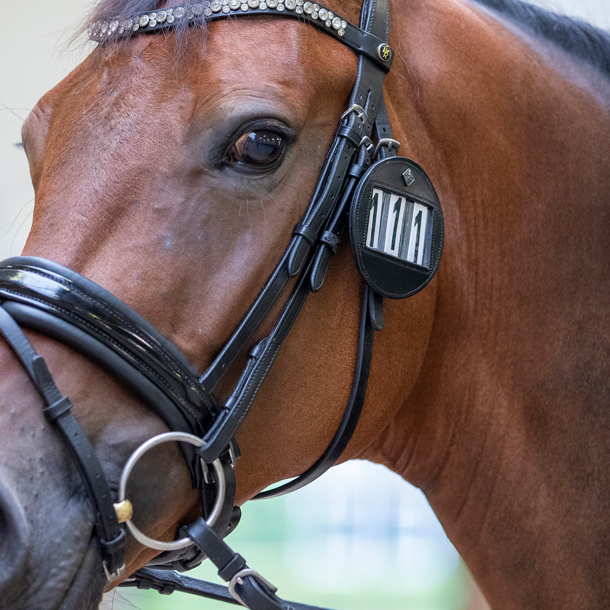 LeMieux Bridle Number Holder