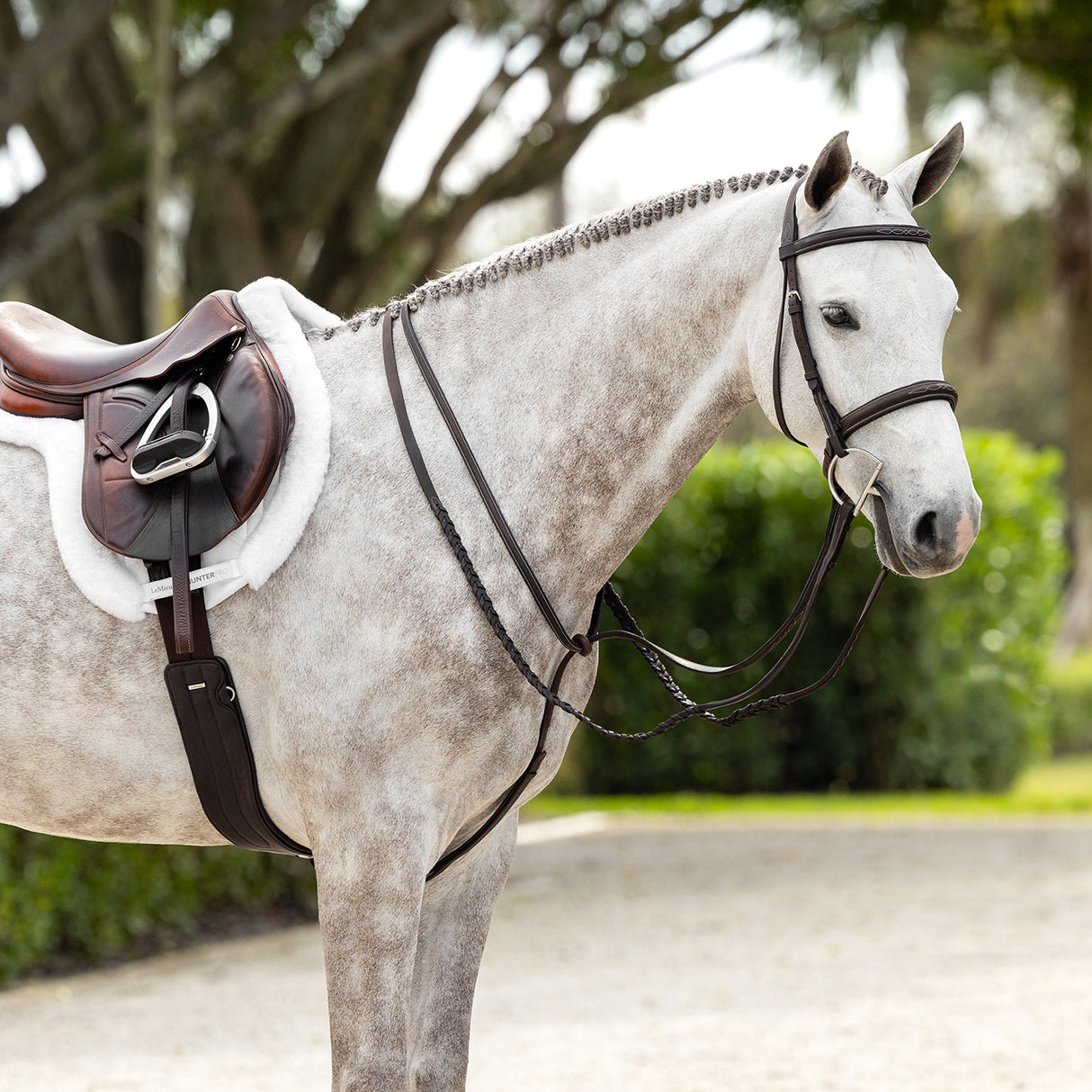 LeMieux Hunter Standing Martingale