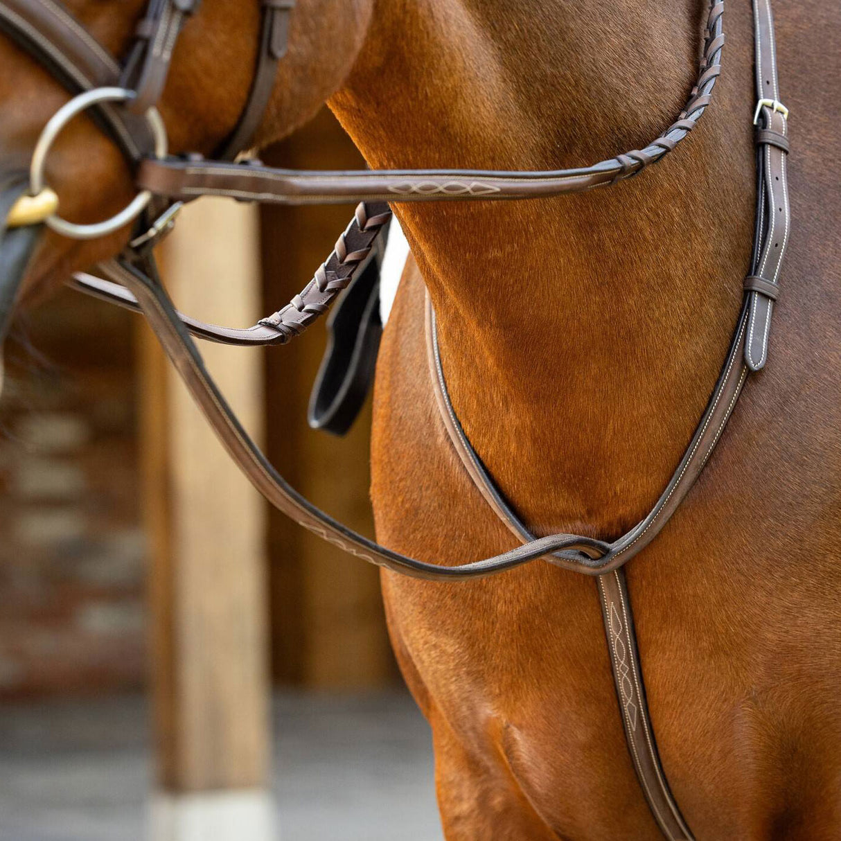 LeMieux Hunter Standing Martingale