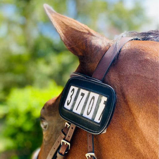 Ace Equestrian Number Holder - Pack of 2