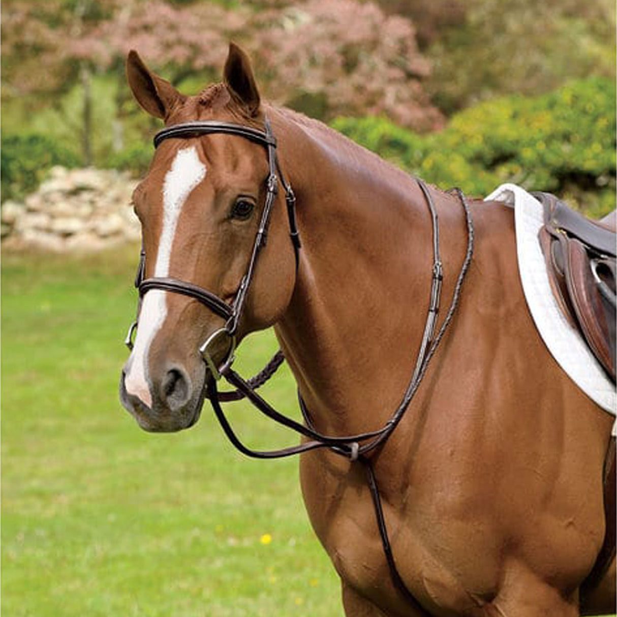 Pessoa Rodrigo Raised Fancy Stitched Standing Martingale