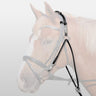 Waldhausen Chambon W/ Out Standing Martingale