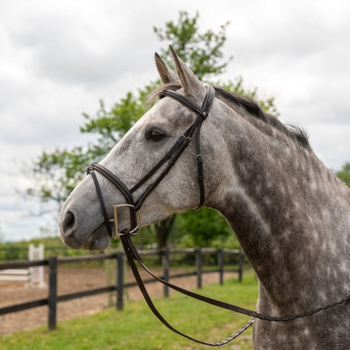 Val du Bois Padded Fancy Stitched Bridle W/ Removable Flash & Reins