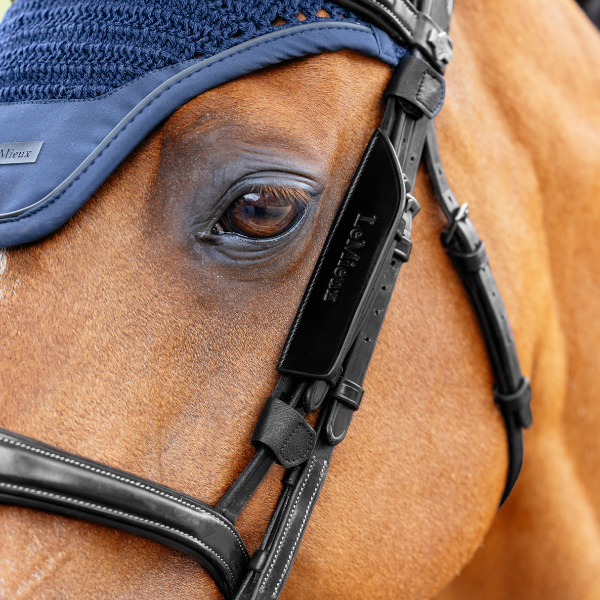 LeMieux Leather Bridle Blinkers