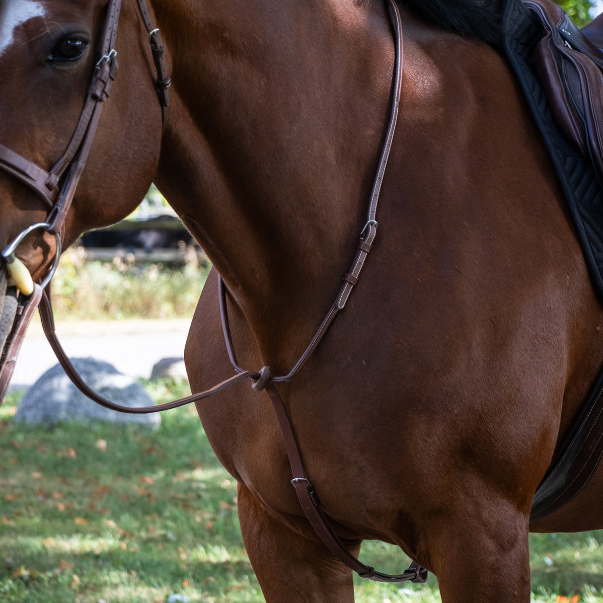 Mondega Carmaux Standing Martingale