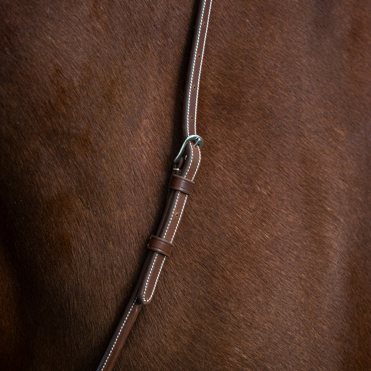 Mondega Carmaux Standing Martingale