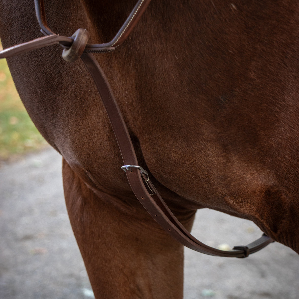 Mondega Carmaux Standing Martingale